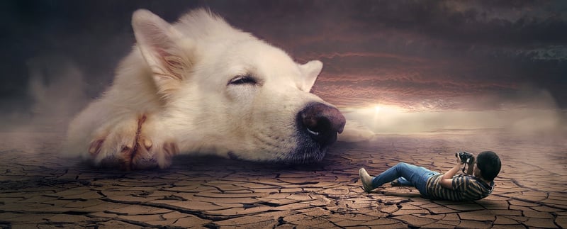 Dream Surreal Fantasy